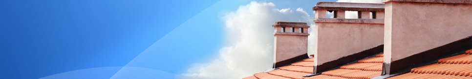 Banner - Silver Hallmann